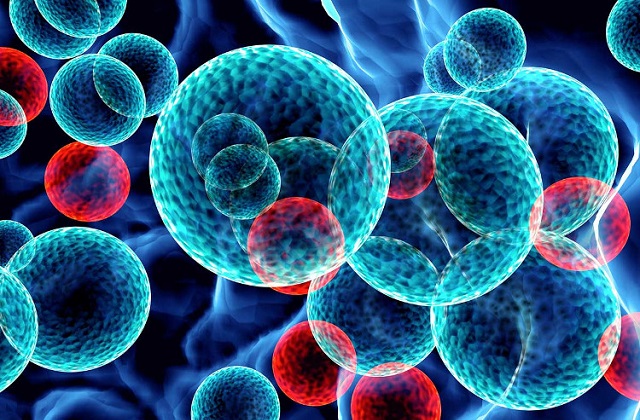 Ứng dụng công nghệ nano trong điều trị ung thư là một trong những bước tiến mới của nền y học hiện đại