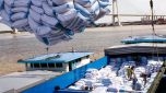 An ninh lương thực: Tổng cục Hải quan hủy hàng hàng loạt tờ khai xuất khẩu gạo hồi tháng Tư