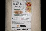 Tự ý bán giống lúa lạ cho dân, doanh nghiệp bị xử lý
