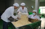 Xuất khẩu hạt điều 4 tháng đầu năm 2020 tăng cả về khối lượng và giá trị