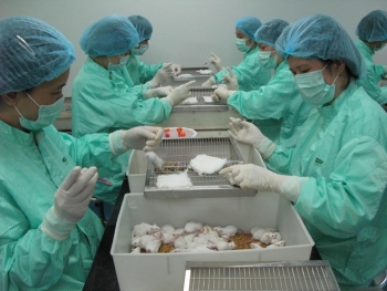 Tín hiệu tích cực, Việt Nam thử nghiệm đợt 2 vắc-xin Covid-19 trên chuột