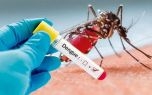 Hà Nội: Phát hiện 2 ổ dịch sốt xuất huyết có nguy cơ bùng phát nhanh