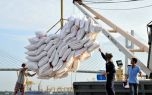 An ninh lương thực: Việt Nam xuất khẩu gạo gần 1 tỷ USD