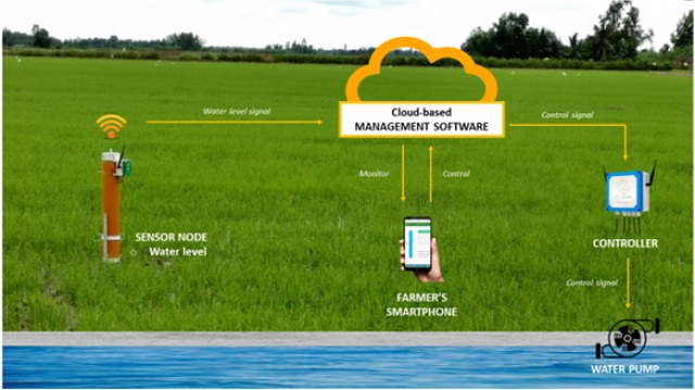 Canh tác lúa ứng dụng công nghệ thông minh tưới nước tiết kiệm giúp giảm khí thải nhà kính
