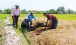 Vùng nguyên liệu: Tăng cường phát triển nghề trồng nấm