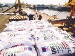 Cần gỡ nút thắt Luật thuế 71 cho ngành phân bón