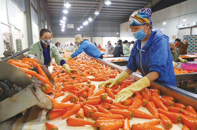 Cơ hội cho nông sản, thực phẩm, sản phẩm y tế Việt Nam phát triển thị trường Nhật Bản.