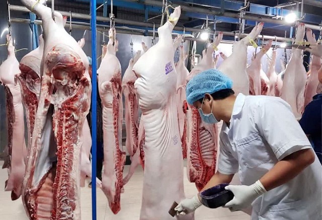 chính thức được phép nhập khẩu thịt lợn sống