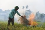 Hà Nội: Kiểm tra tình trạng đốt rơm rạ gây ô nhiễm không khí