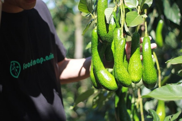 FoodMap đón xu hướng đưa nông sản Việt lên sàn thương mại điện tử