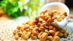 Khai thác, tận dụng mọi cơ hội để đưa giá xuất khẩu điều nhân lên