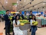 Chuối Việt Nam chính thức bày bán trong hệ thống siêu thị Lotte Mart