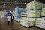 Nhập khẩu thức ăn chăn nuôi và nguyên liệu giảm mạnh