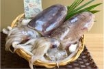 Sau thời gian gián đoạn, xuất khẩu mực, bạch tuộc sang Trung Quốc tăng trưởng trở lại