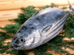 Thuế cao, xuất khẩu cá ngừ sang Ba Lan gặp khó