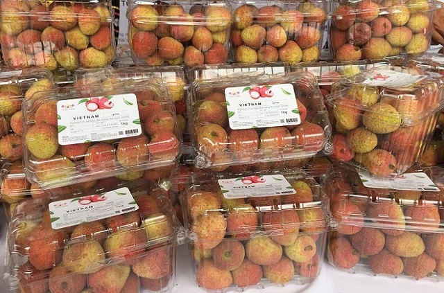 lô hàng hơn 2 tấn quả vải của Việt Nam xuất khẩu sang Nhật đã được bán hết trong ngày đầu tiên có mặt tại siêu thị (