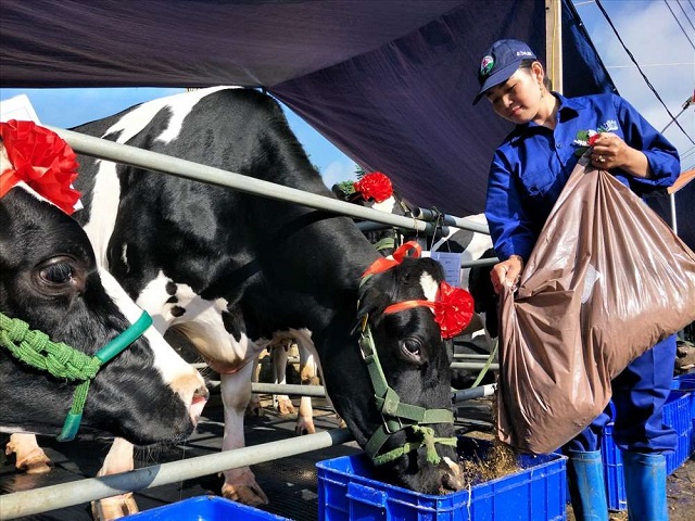 Thêm 2 công ty sữa Việt Nam được phép xuất khẩu sản phẩm sữa sang Trung Quốc
