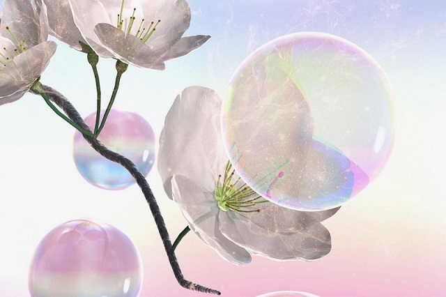 dùng bong bóng xà phòng thu phấn cho hoa