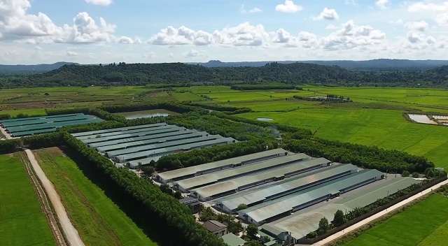 Hùng Nhơn Group và De Heus đầu tư khu chăn nuôi công nghệ cao