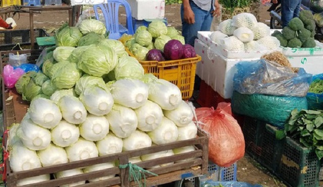 6 loại rau của Việt Nam xuất khẩu sang Campuchia bị phát hiện có tồn dư thuốc bảo vệ thực vật và bị nước này cấm nhập khẩu