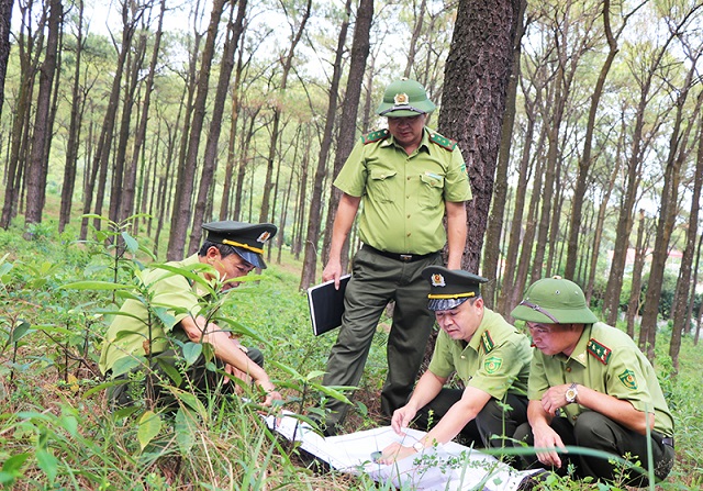 Những năm qua, huyện Ðầm Hà đã làm tốt công tác chăm sóc, bảo vệ rừng