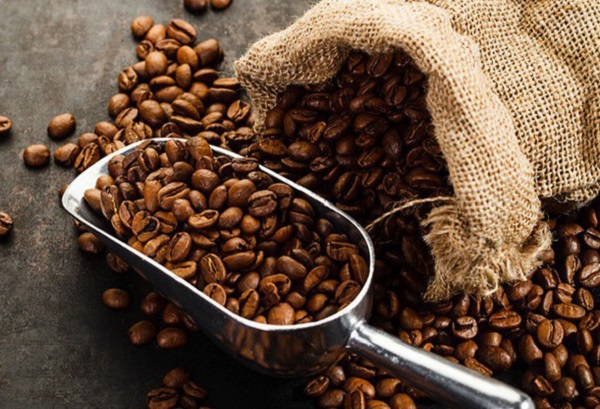Algeria nhập khẩu khoảng 130.000 tấn cà phê hạt các loại mỗi năm, trong đó Việt Nam thường cung cấp trên 50% sản lượng