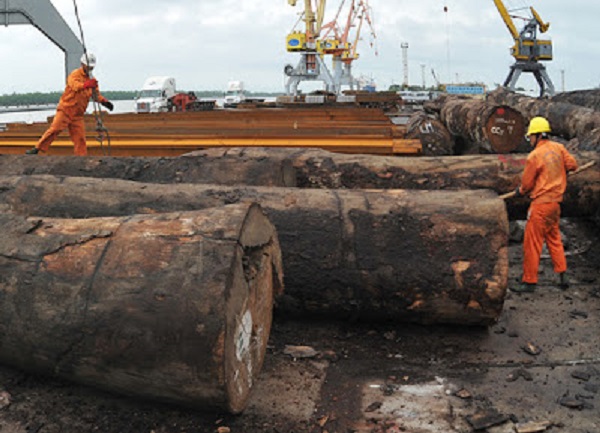 Châu Phi, khu vực cung cấp nguyên liệu gỗ quan trọng cho Việt Nam