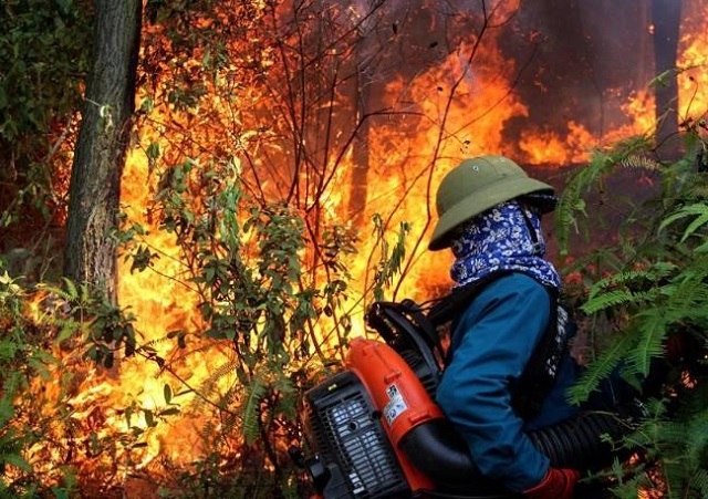 Đà Nẵng triển khai nhiều giải pháp phòng cháy, chữa cháy rừng