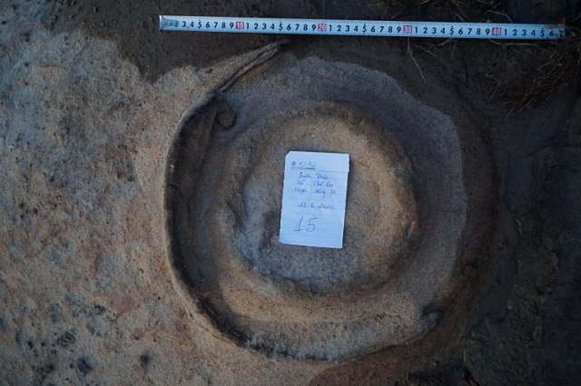 Các hóa thạch Cúc đá được tìm thấy tại Gia Lai. Ảnh: Quang Tuệ (Sở VHTTDL tỉnh Gia Lai)