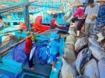 Các mục tiêu khắc phục cảnh báo “thẻ vàng”: Bình Định cơ bản hoàn thành