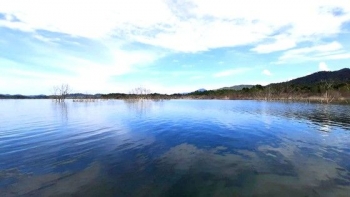 Hà Tĩnh: Thí điểm nuôi cá lồng bè trong lòng hồ thủy điện Ngàn Trươi