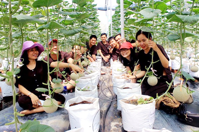 Du lịch thành phố Hồ Chí Minh đang đẩy mạnh việc phát triển các sản phẩm du lịch nông nghiệp