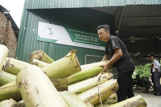 ra mắt Hợp tác xã Thương mại và Dịch vụ nông nghiệp Khai Thái chuyên sản xuất, chế biến cây chuối thành sợi