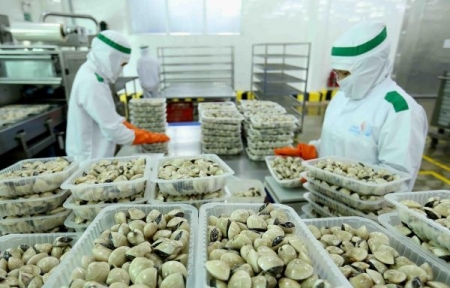 5 tháng đầu năm 2020, xuất khẩu nhuyễn thể hai mảnh vỏ của Việt Nam giảm 8%