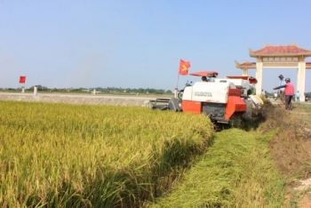 Thừa Thiên - Huế: Xây dựng hợp tác xã kiểu mới gắn tái cơ cấu ngành nông nghiệp