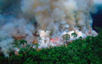 Hà Nội: Tăng cường công tác phòng cháy, chữa cháy rừng