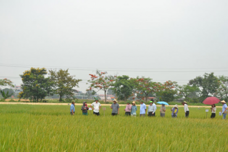Hà Nội: Đẩy mạnh xuất khẩu nông sản chủ lực