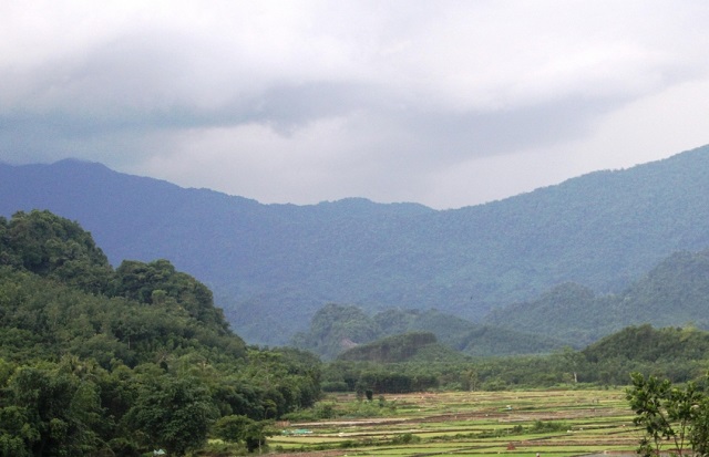 Tỉnh Thừa Thiên- Huế đang ổn định về độ che phủ rừng