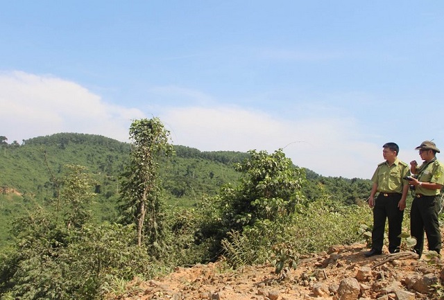 oàn tỉnh Thừa Thiên Huế đã có 7.800 hecta rừng được cấp chứng chỉ rừng FSC