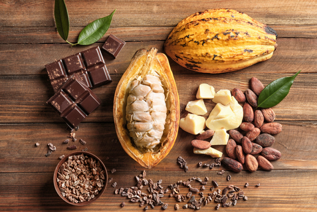 Giá cacao đảo chiều tăng nhờ Tây Phi nâng thuế xuất khẩu