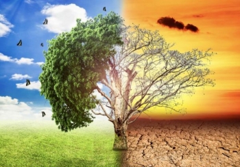 Kế hoạch quốc gia thích ứng với biến đổi khí hậu giai đoạn 2021 - 2030, tầm nhìn đến năm 2050