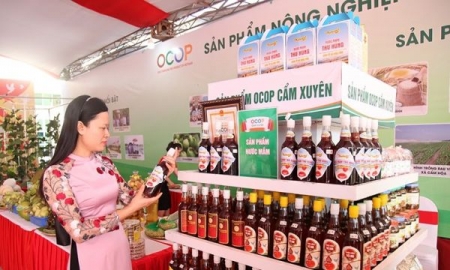 Nâng tầm sản phẩm OCOP: Hà Tĩnh trưng bày sản phẩm chào mừng Đại hội Đảng
