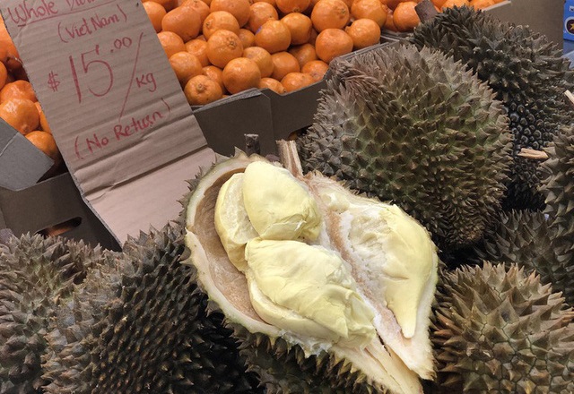 Mặc dù được giữ đông lạnh nhưng sầu riêng nguyên trái của Việt Nam vẫn rất ngon, cơm dày, ngậy và ngọt nên được người tiêu dùng Australia yêu thích
