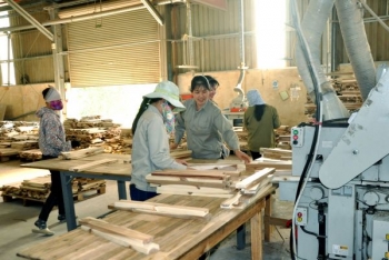 Hiệp hội Gỗ và Lâm sản Việt Nam đề xuất tháo gỡ tình trạng gỗ ván ghép bị ùn tắc tại các cảng biển