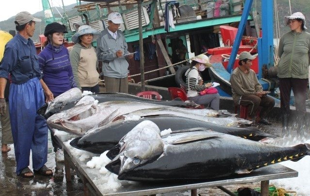 xuất khẩu cá ngừ 6 tháng đầu năm