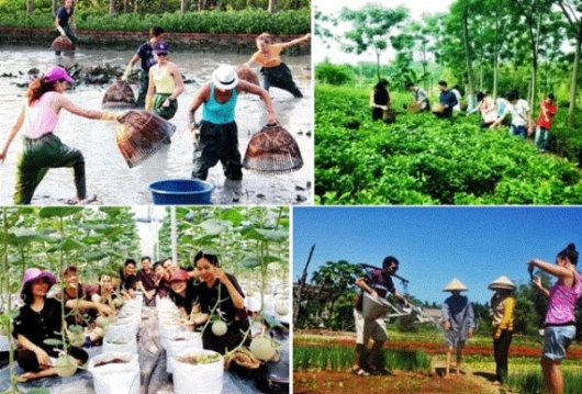 Tiềm năng phát triển du lịch nông nghiệp ở Đông Nam Á