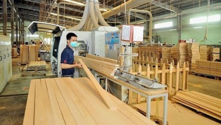 Trung Quốc là thị trường lớn nhất cung cấp gỗ và sản phẩm gỗ cho Việt Nam