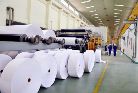 Những thị trường cung cấp giấy các loại chủ yếu cho Việt Nam