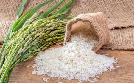 Giá gạo hôm nay 4/8: Phiên sáng ổn định