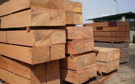 Kiên quyết loại bỏ doanh nghiệp làm ăn gian lận, phi pháp trong ngành gỗ